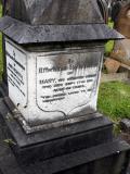 image of grave number 531411